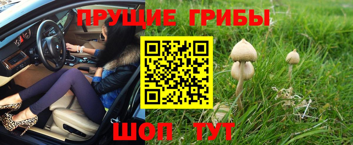Галлюциногенные грибы мухоморы  Вход с VPN  цены наркотик  Минеральные Воды 
